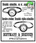 Hoffmann & Brenner 1913 0.jpg
